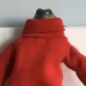 Meet your Posher, Celeste